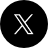 公式X
